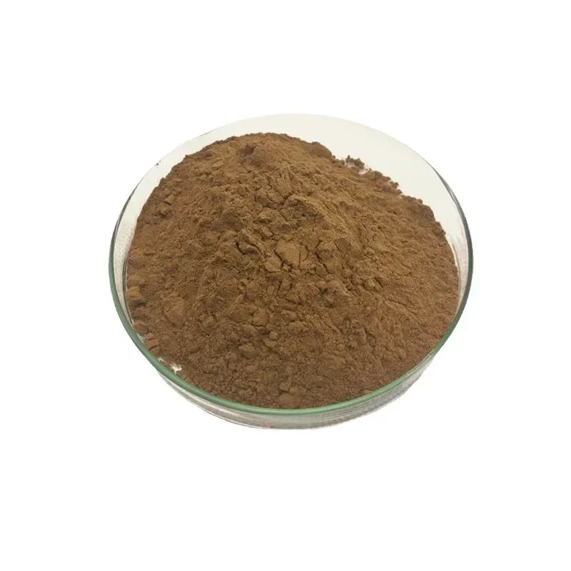 Spons Spicule Bubuk Kering Bek - Hair Care Dupes ulasan dan harga